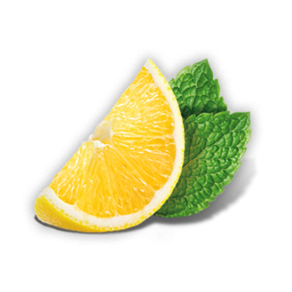 Clásico (limón y menta)