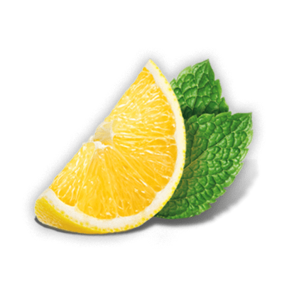 Lemon Mint